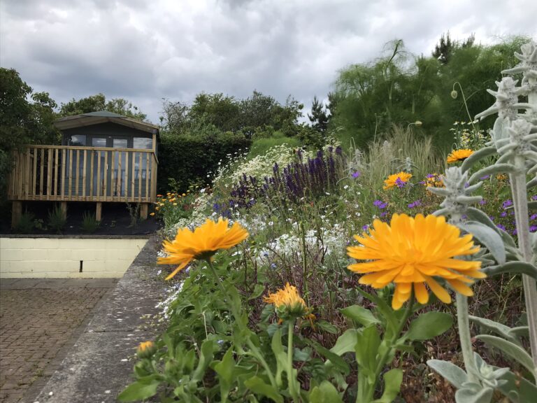 Summer house and flowers